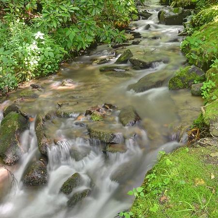 Panther Creek Cabins Cherokee Buitenkant foto