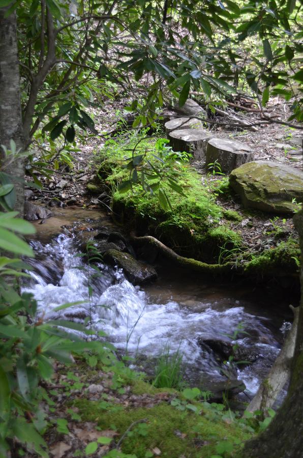Panther Creek Cabins Cherokee Buitenkant foto
