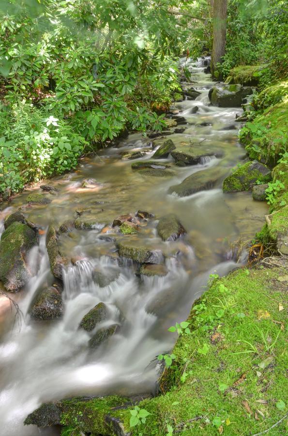 Panther Creek Cabins Cherokee Buitenkant foto